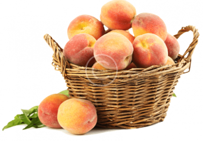 untitled-1 untitled-1